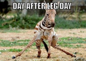 Day after Leg Day