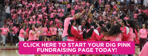 Get Started with Dig Pink