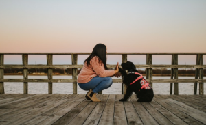 Alexa and her service dog Jetta on a pier high-fiving