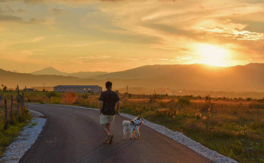 Simple image man walk dog down streen