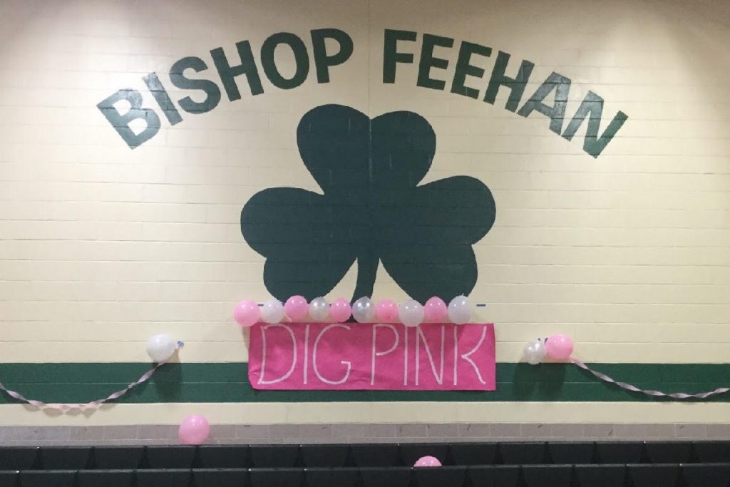 Bishop Feehan Dig Pink