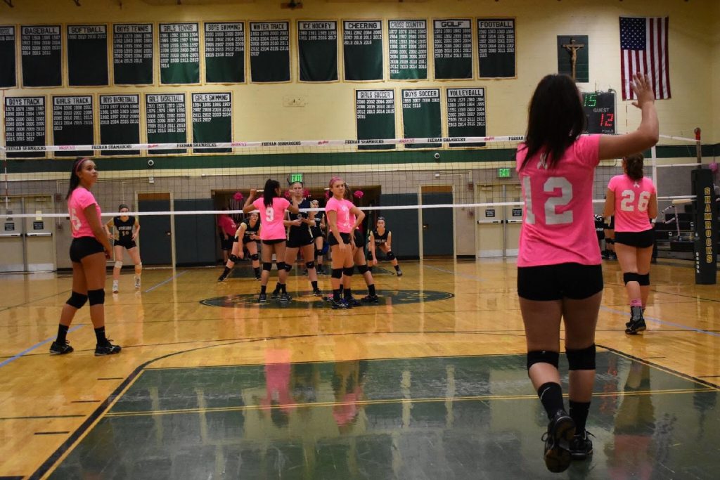 Bishop Feehan Dig Pink