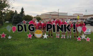 2018 West Allegheny HS - Team with Dig Pink Sign - fundraising ideas