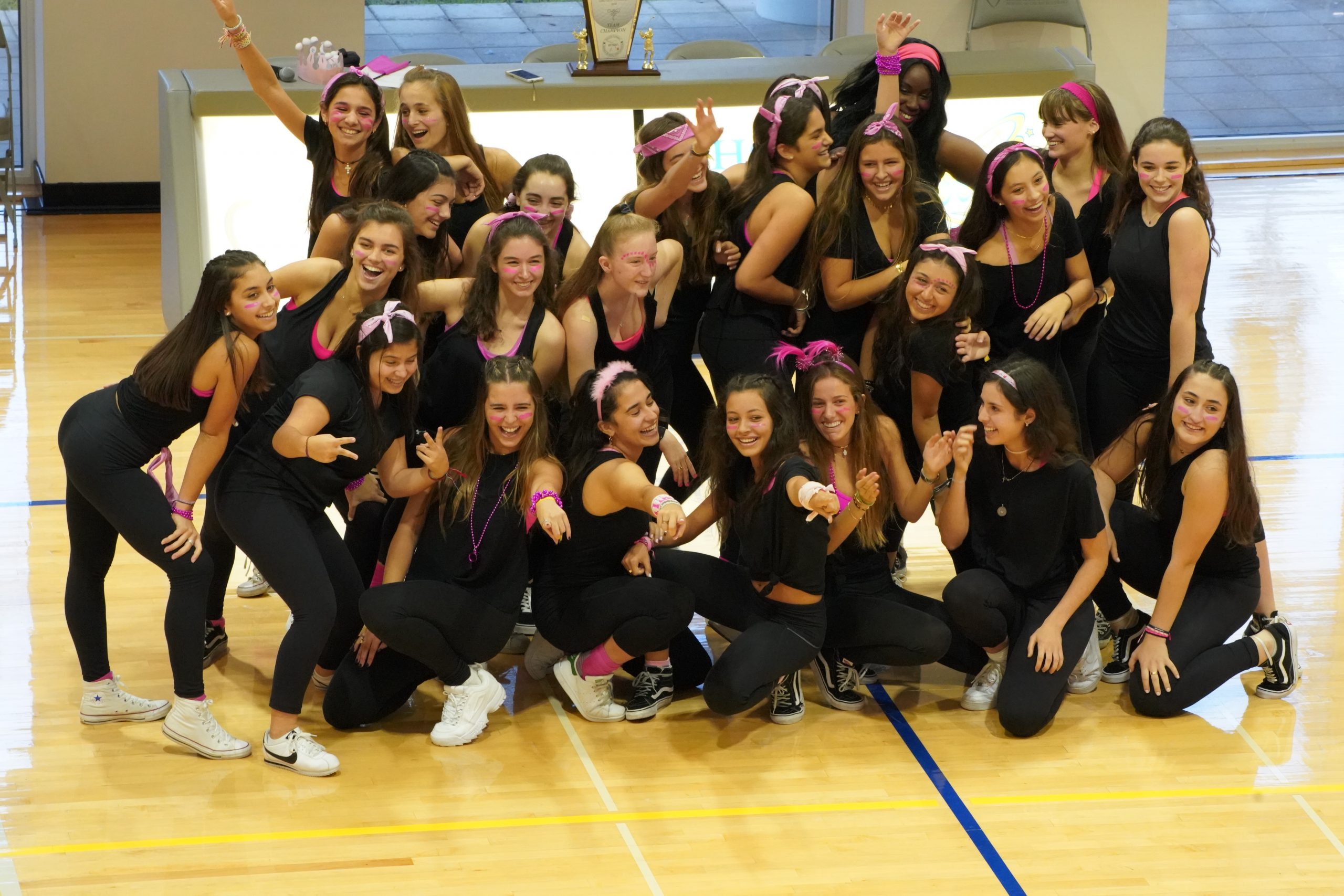 Carrollton Dig Pink Dance Team