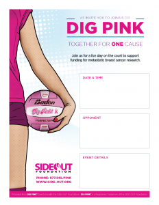 Dig Pink Poster 2