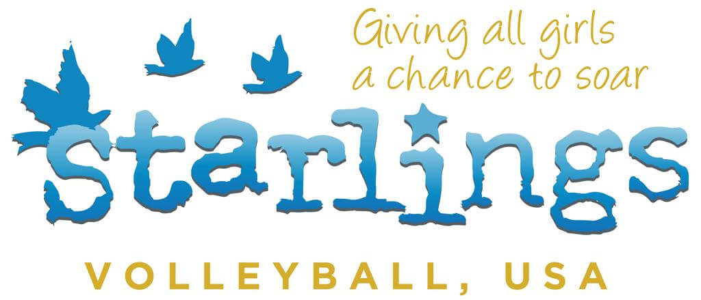 Starlings Volleyball, USA Logo