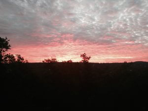 Pink Heavens
