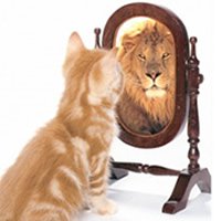 3 Ways Talking to Yourself Will Improve Volleyball Performance Lion