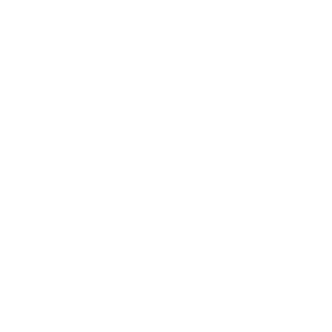 Texas Dig Pink Logo