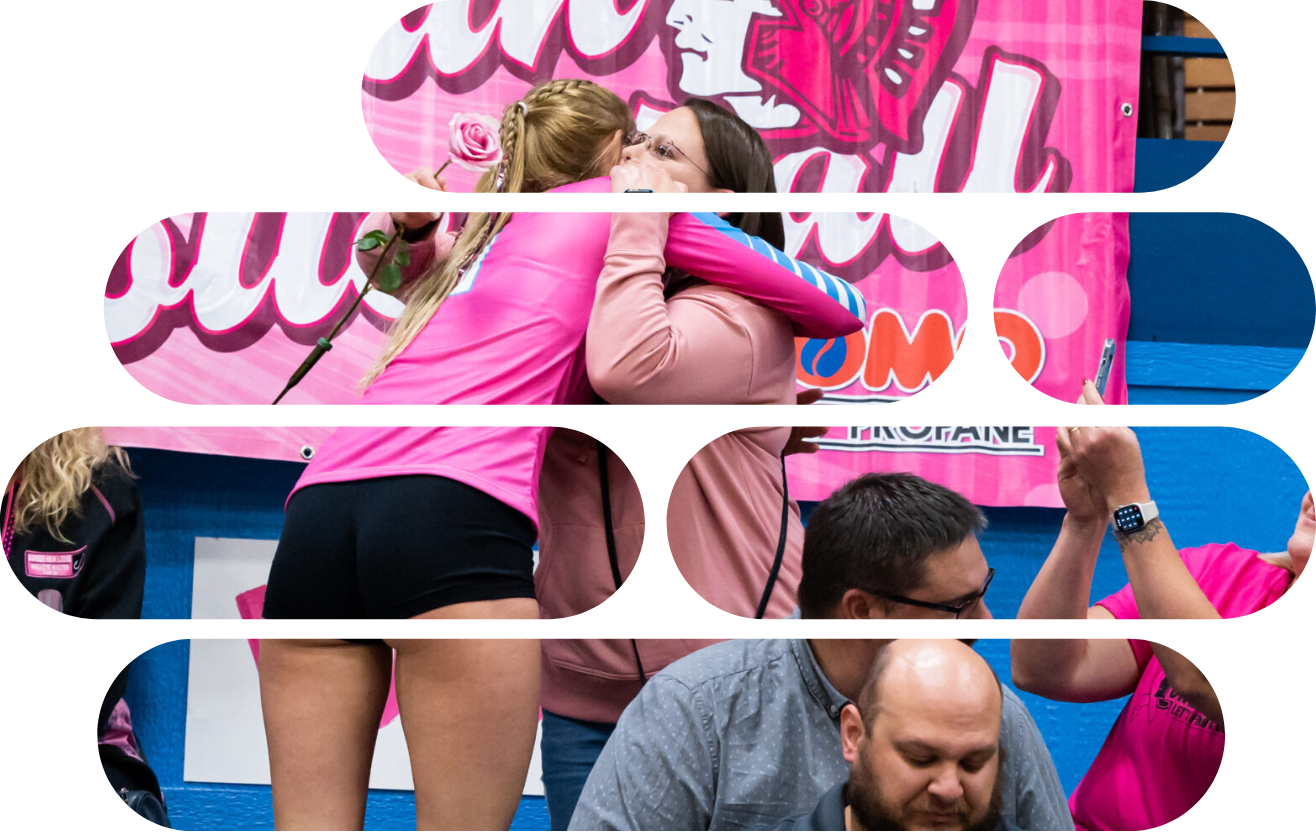 Dig Pink Image Spartan Volleyball