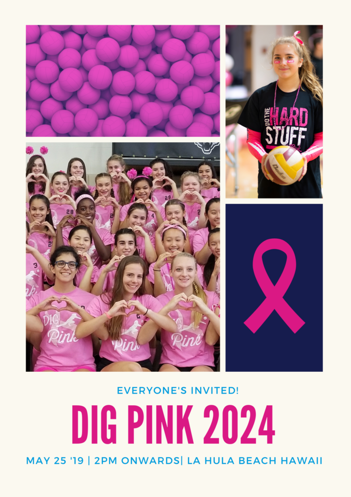 Dig Pink Poster 2