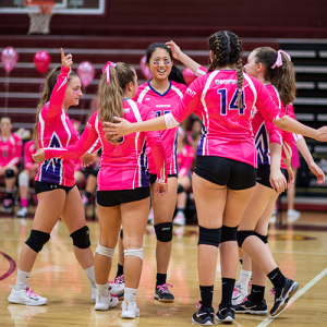 Dig Pink Jerseys Oakton Volleyball